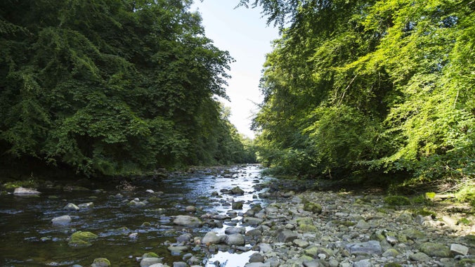 River and riverbed at Allen Banks and Staward Gorge, Northumberland.